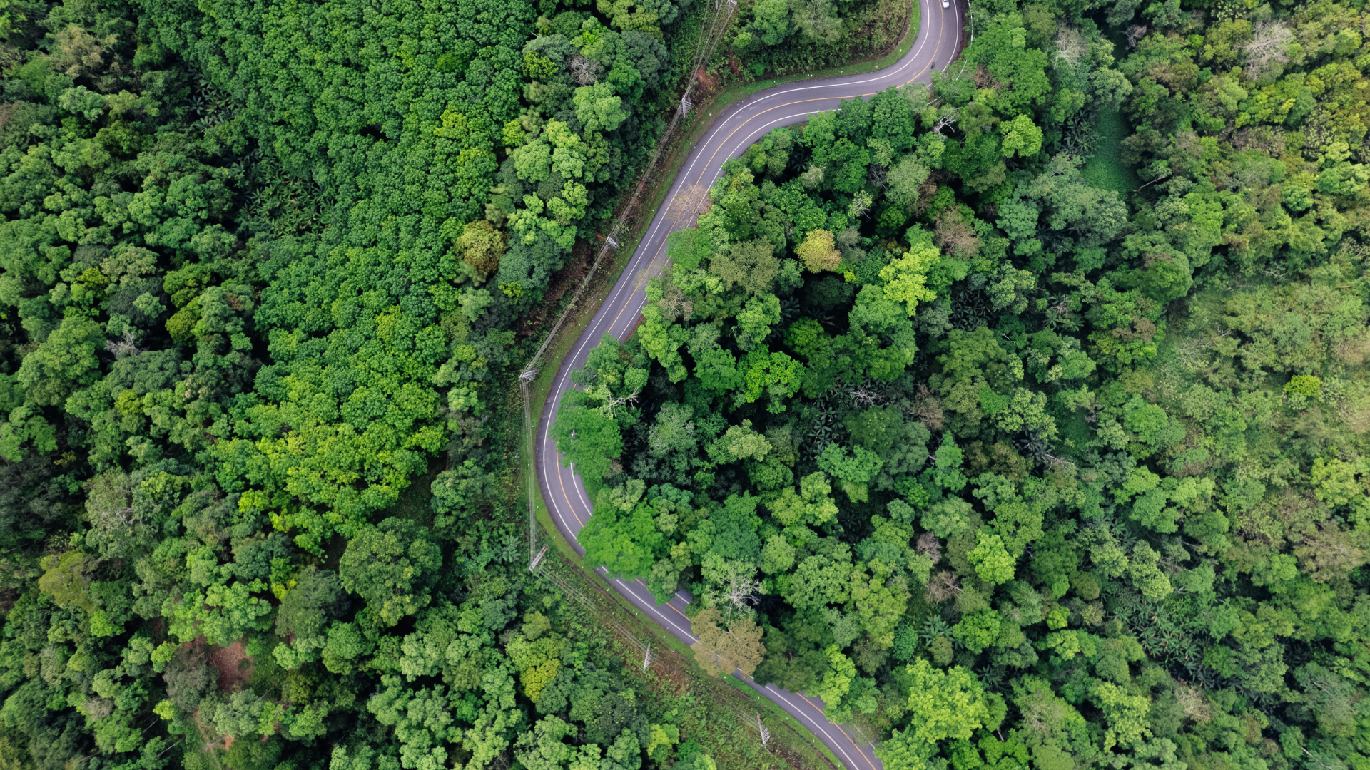 PlanTerra landscape architecture